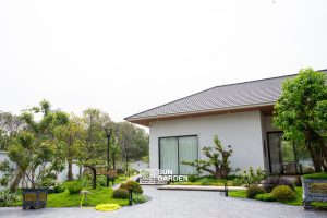 Sân vườn sau nhà 4