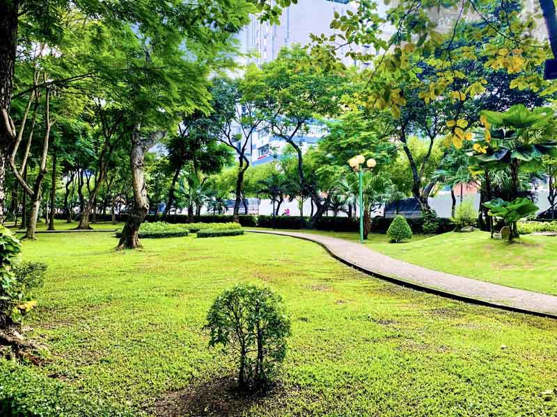 thiết kế cảnh quan cây xanh 2