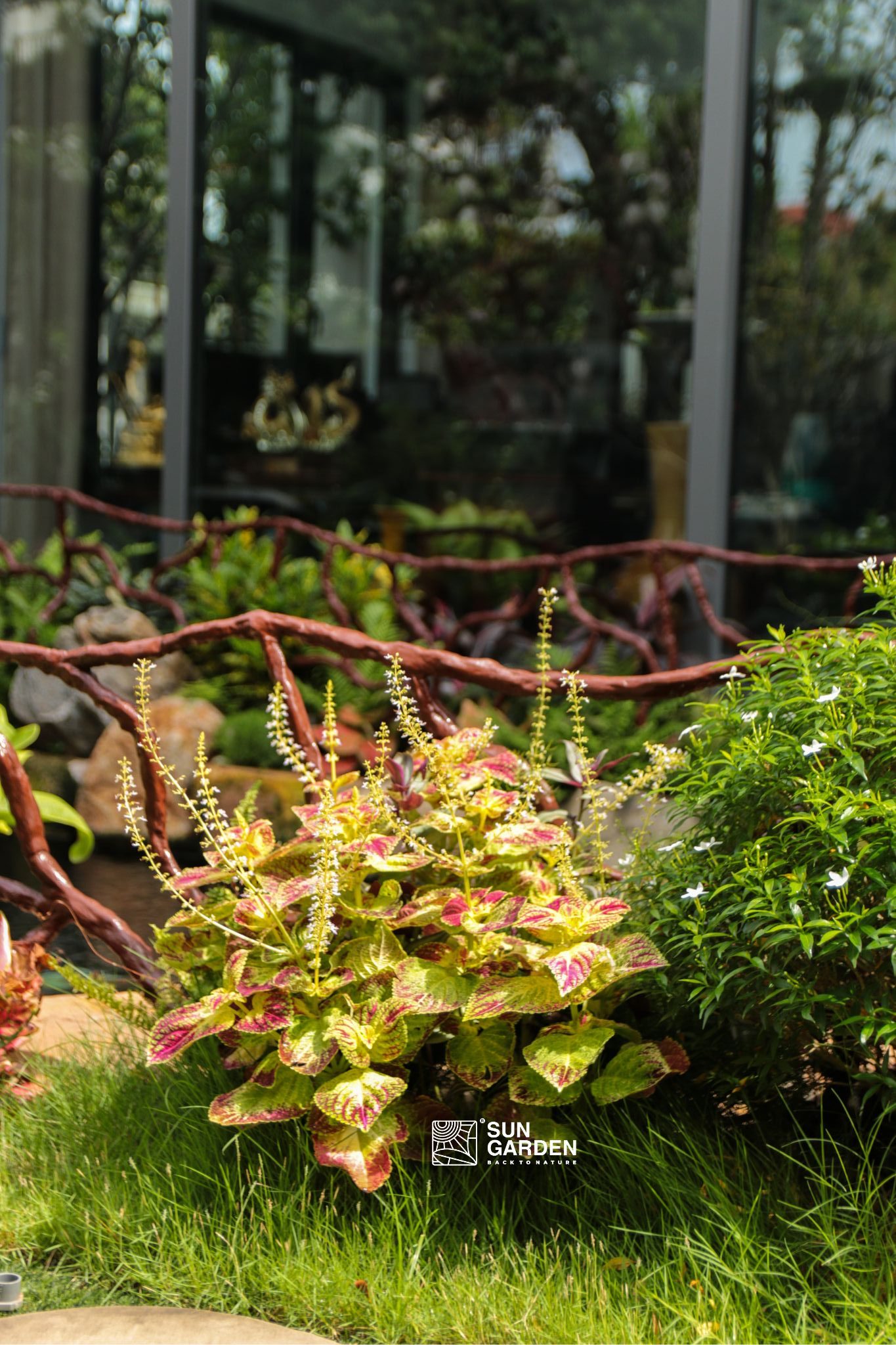  thiết kế cảnh quan cây xanh 2