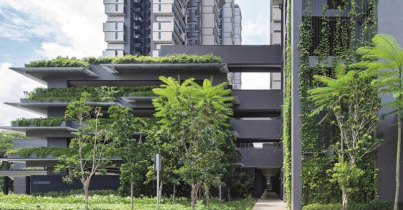 Thiết kế cảnh quan cây xanh 3