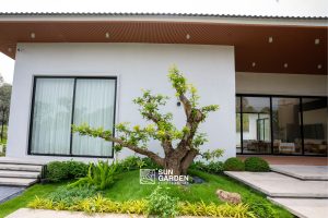 thiết kế cảnh quan cây xanh 4