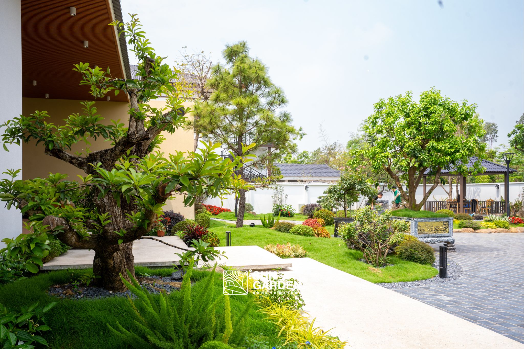 Thiết kế cảnh quan cây xanh 5