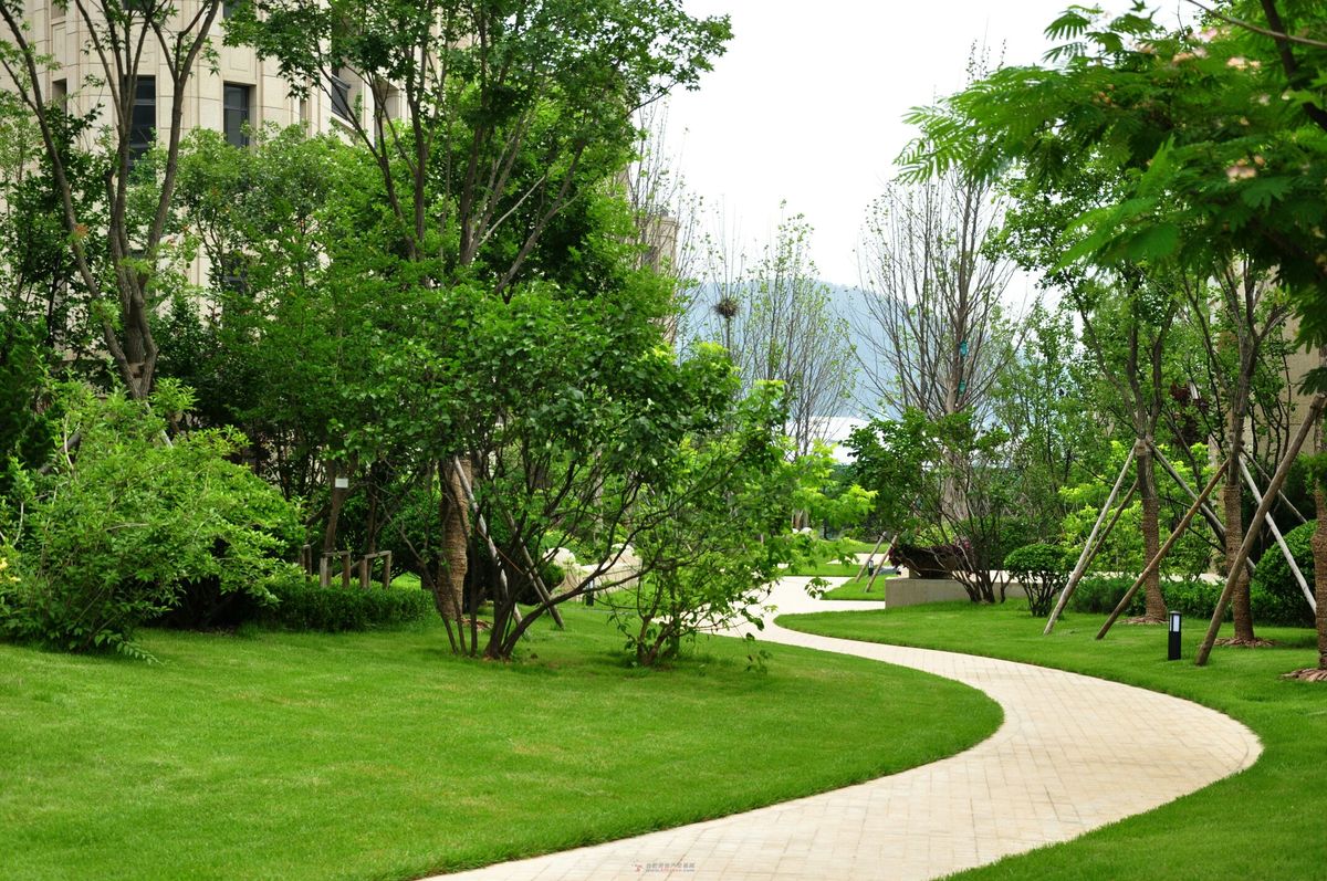 Thiết kế công viên mini 1