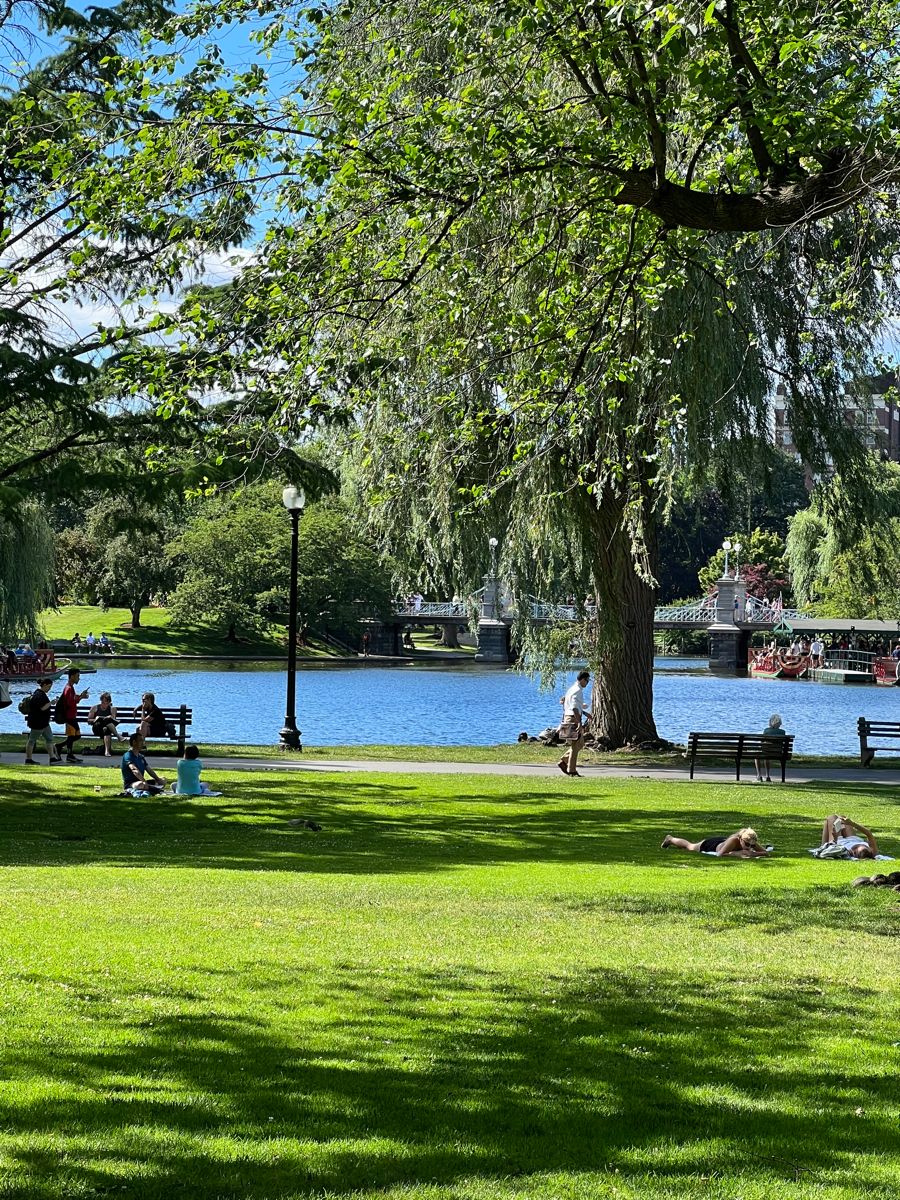 Thiết kế công viên mini 2