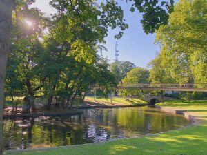 Thiết kế công viên mini 3