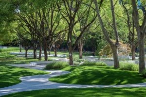 Thiết kế công viên mini 3