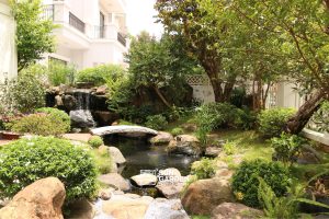 Thiết kế thi công sân vườn 3