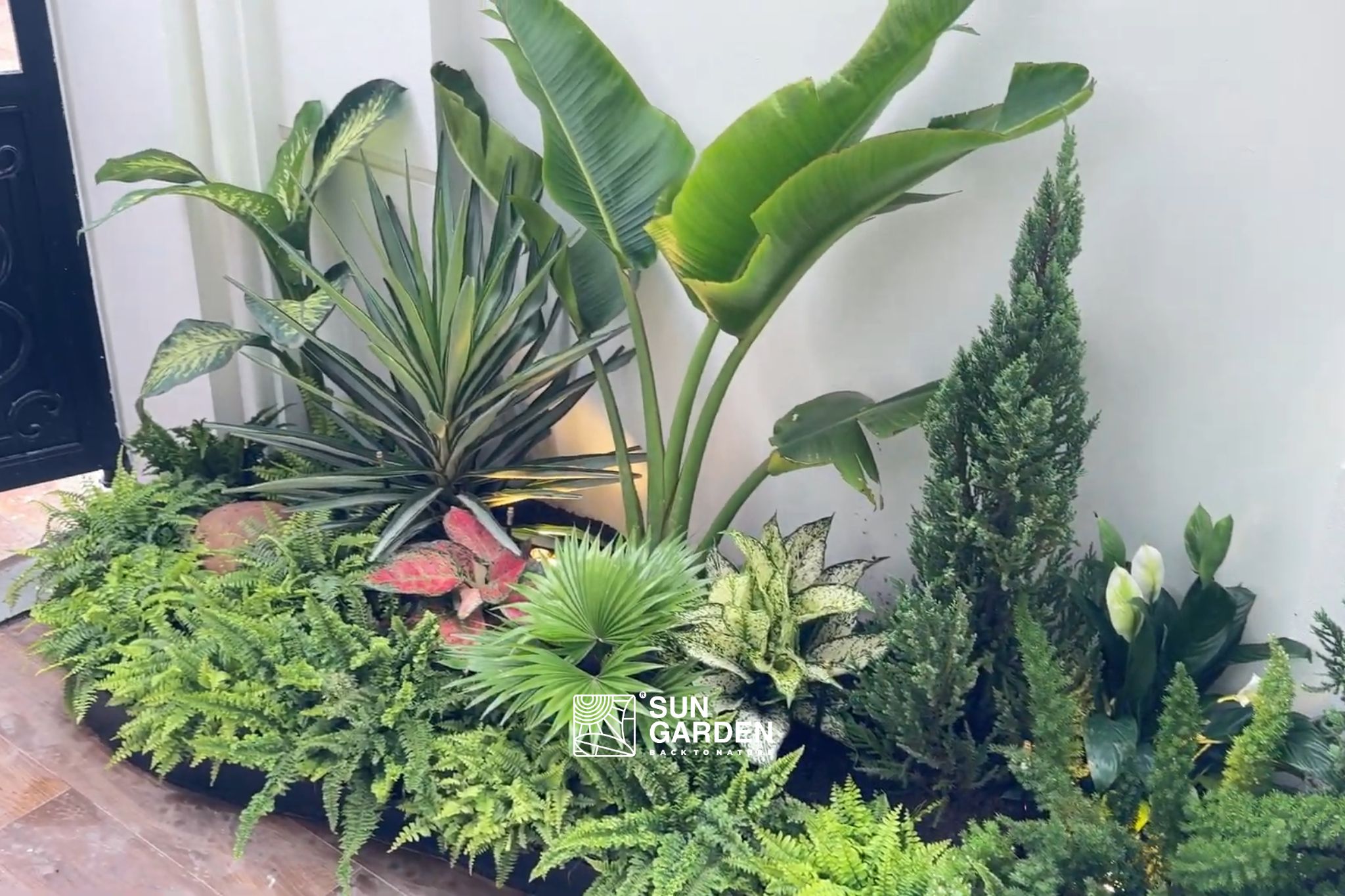 Tiểu cảnh mini sân vườn 3