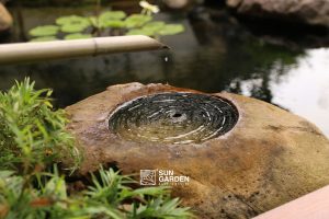 Tiểu cảnh sân vườn nhỏ 1