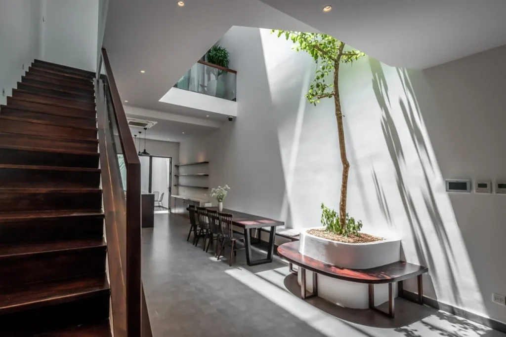 Tiểu cảnh trong nhà đẹp 1