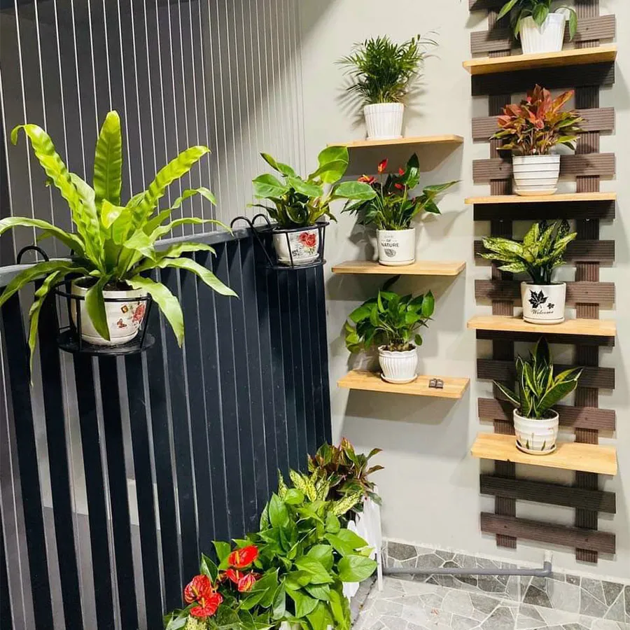 Tiểu cảnh trong nhà đẹp 4