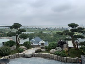 Tiểu cảnh trong nhà đẹp 5