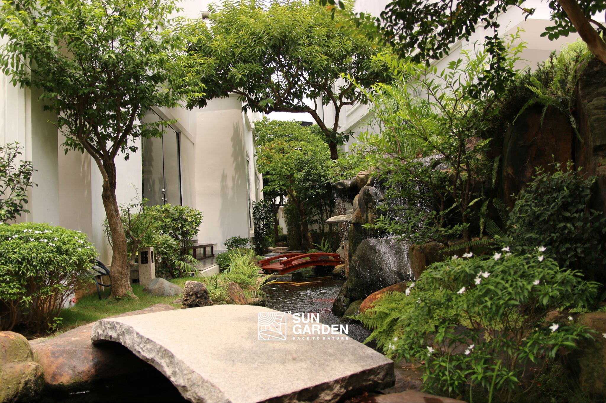 Vườn nhà đẹp 2