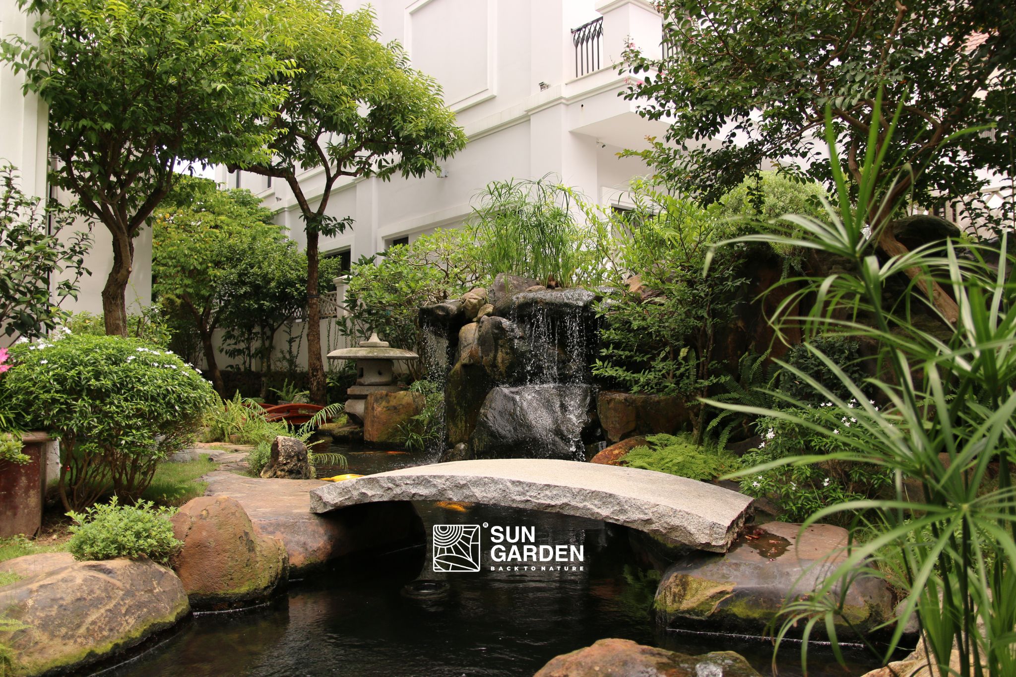 Vườn nhà đẹp 3