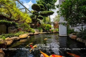 Cảnh sân vườn đẹp 1