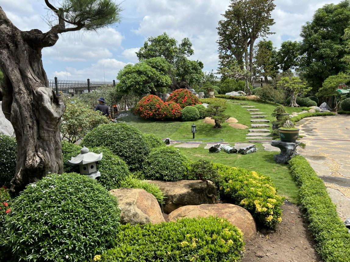 Cảnh sân vườn đẹp 2