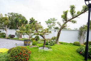 Sân vườn sau nhà ống 1