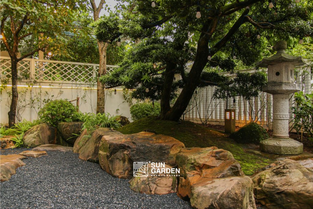 Thiết kế sân vườn nhỏ sau nhà 1