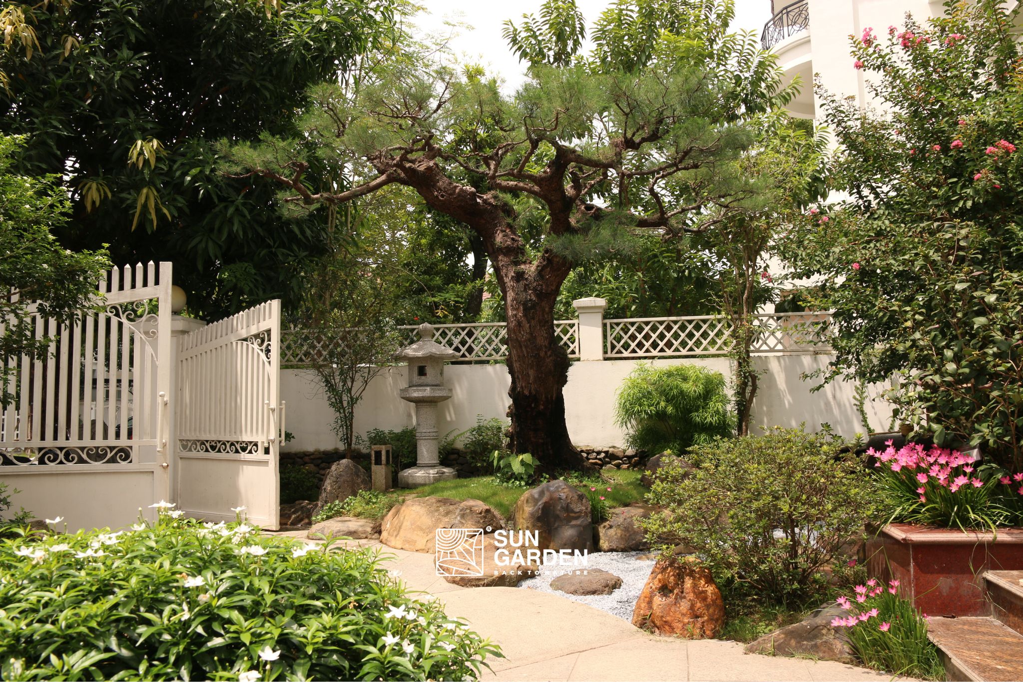 Vườn nhà đẹp 3