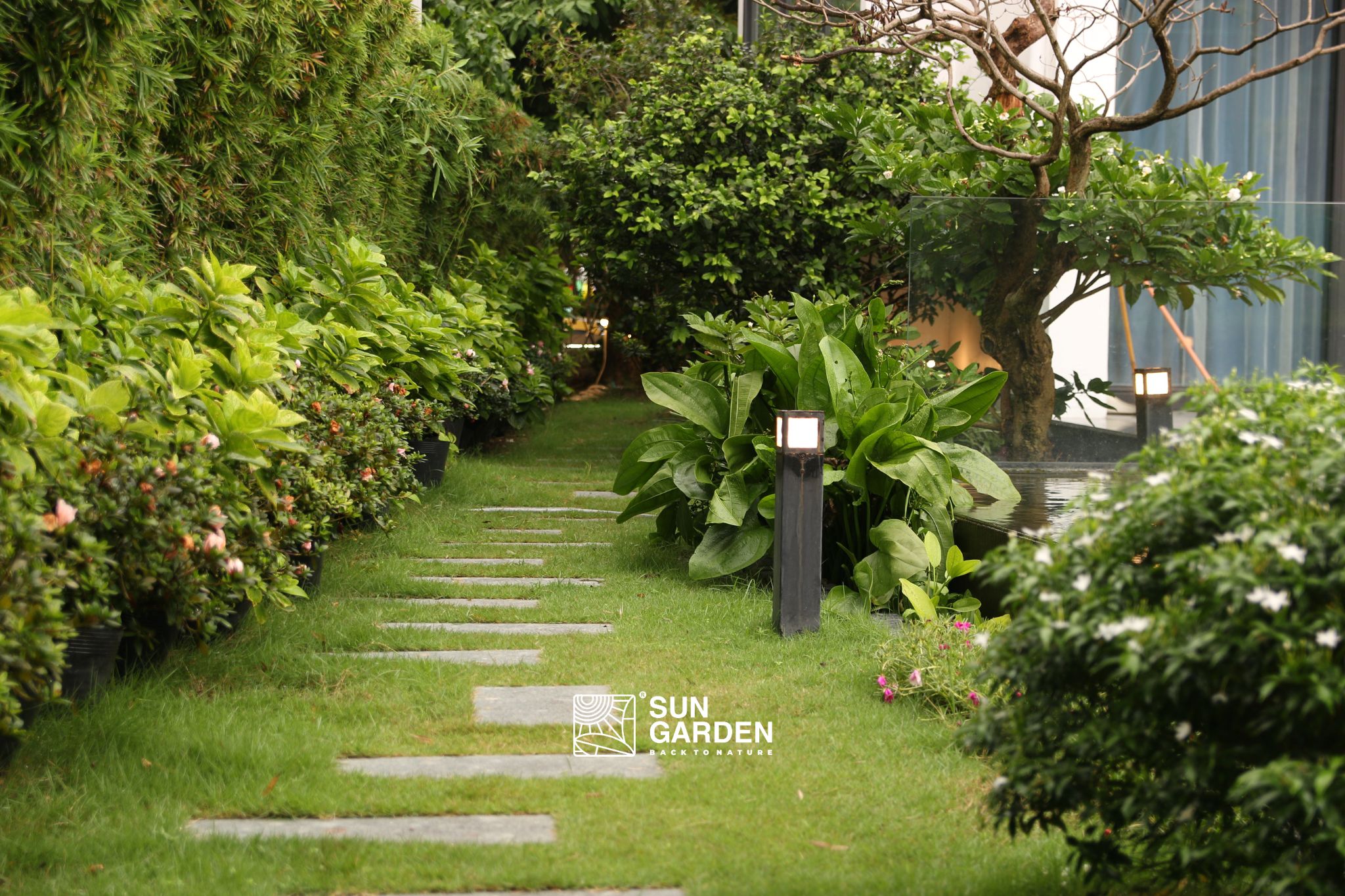 Cảnh quan sân vườn đẹp 2