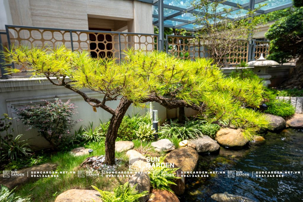 thiết kế cảnh quan cây xanh 3