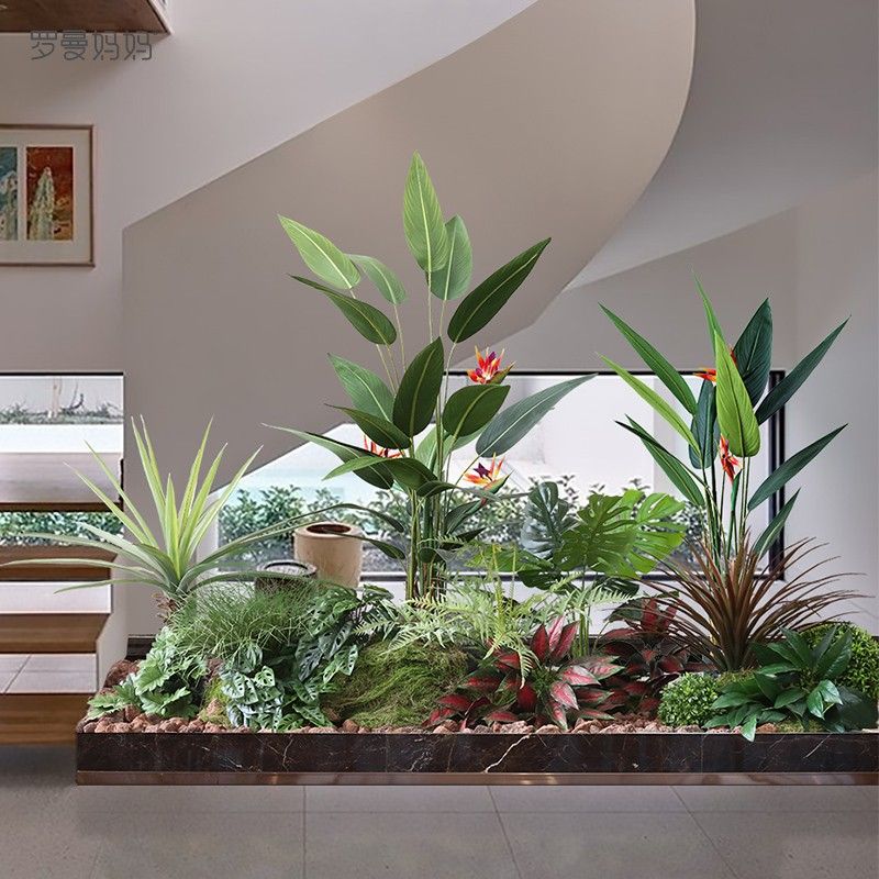 Tiểu cảnh trong nhà đẹp 1