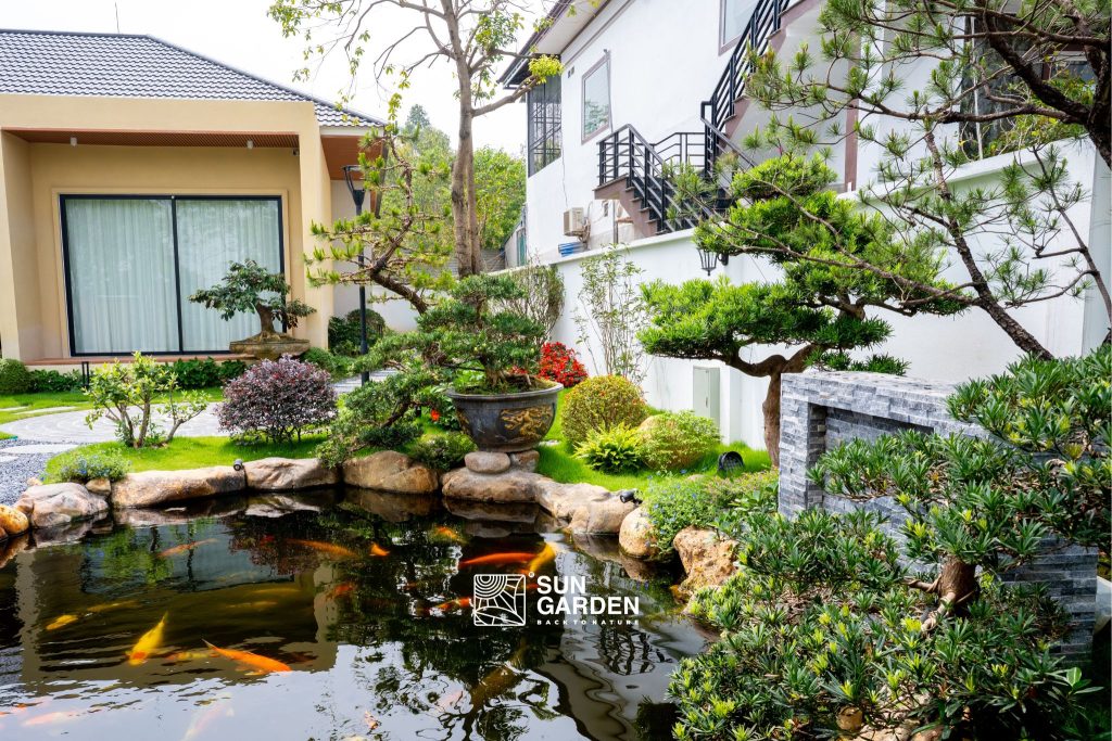 Vườn nhà đẹp 1