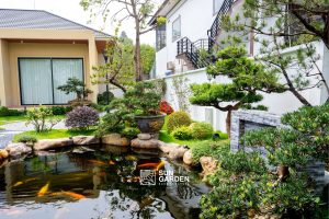 Vườn nhà đẹp 1