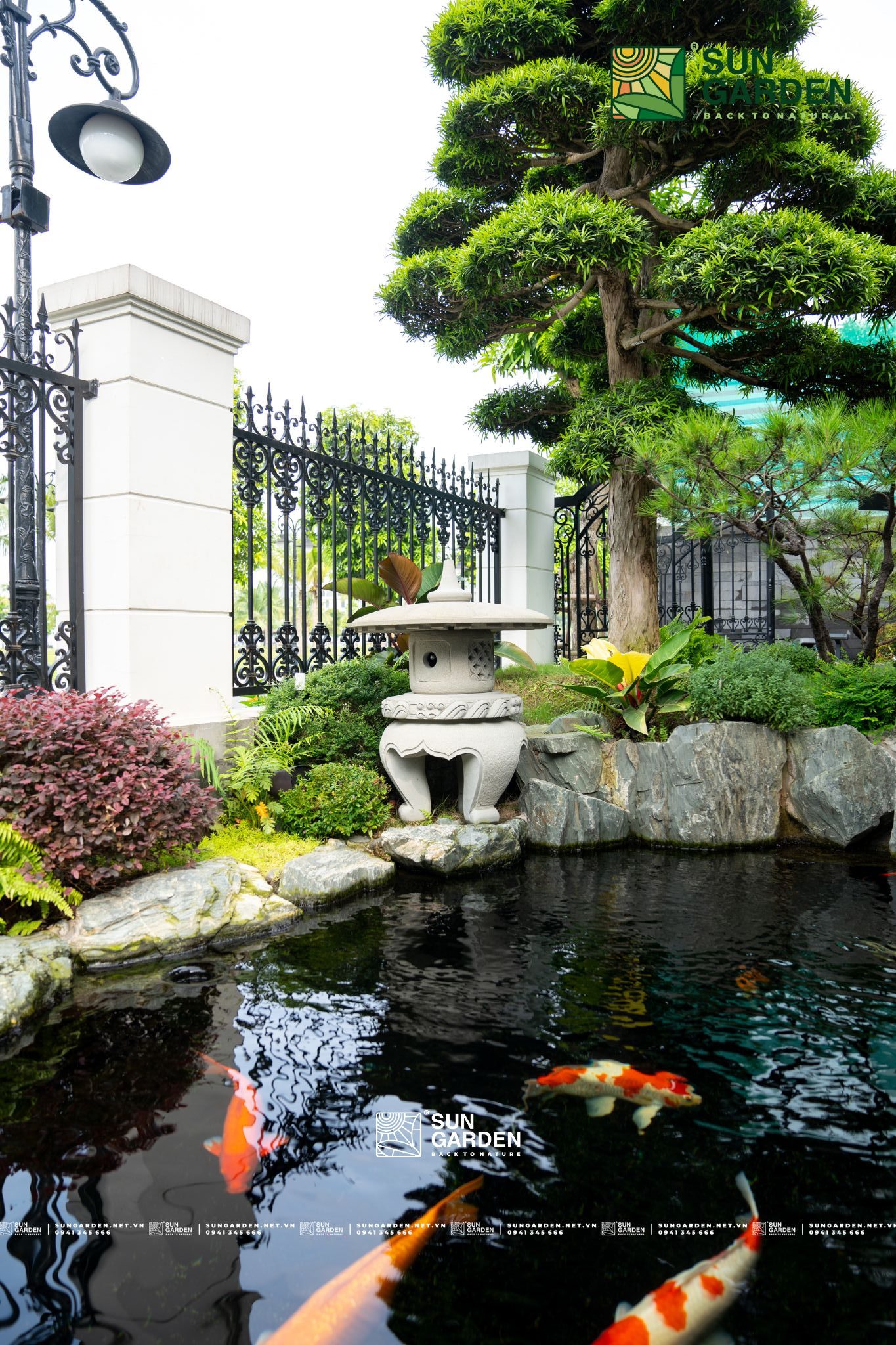 Vườn nhà đẹp 1